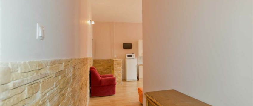 Apartment Vladimirskiy prospekt Sankt-Peterburg - Apt 1969